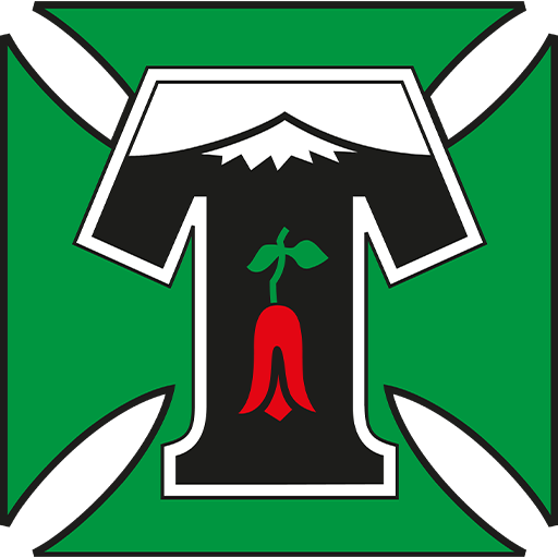 Deportes Temuco