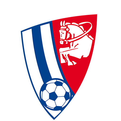 Team Badge icon