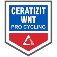 Former team badge icon