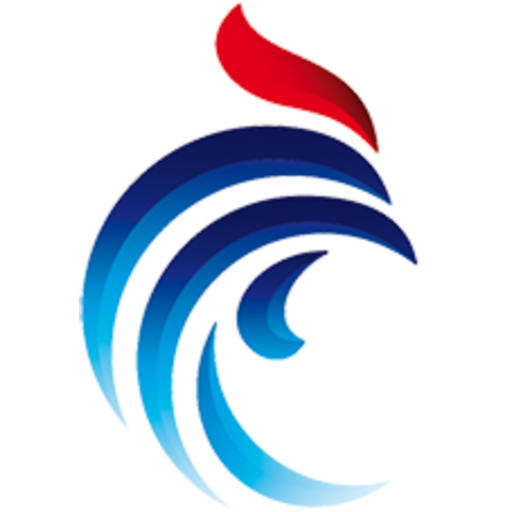 team badge