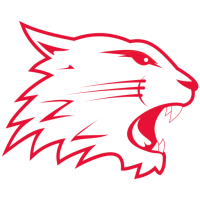 Former team badge icon