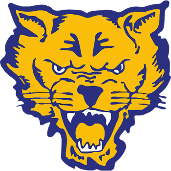 Team Badge