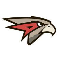 Former team badge icon