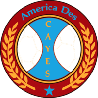 Former team badge icon