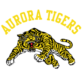 Team Badge
