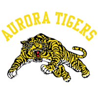 Former team badge icon