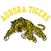 Team badge