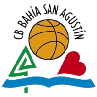 Former team badge icon