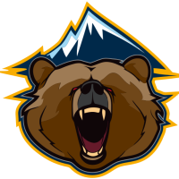 Former team badge icon