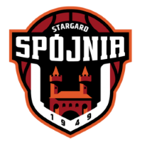 Former team badge icon