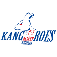 Former team badge icon