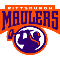 Former team badge icon
