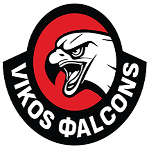 Vikos Falcons BC
