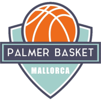 Former team badge icon