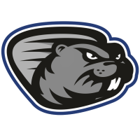 Former team badge icon