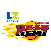 Former team badge icon