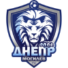 Team Badge Icon