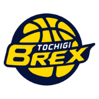 Former team badge icon