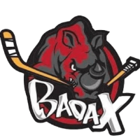 Former team badge icon