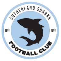 Former team badge icon
