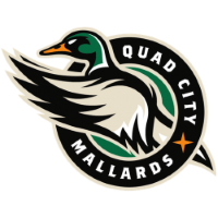 Former team badge icon