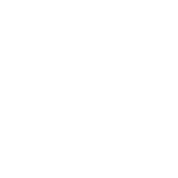 Team Badge