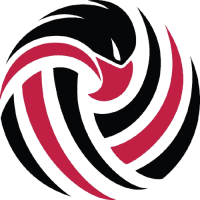 Former team badge icon