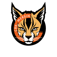 Former team badge icon