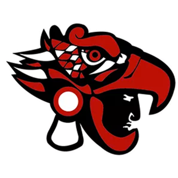 team badge