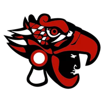 Former team badge icon