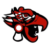 Team badge