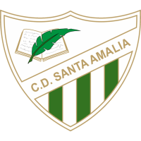 Team Badge