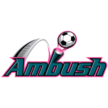 Team Badge