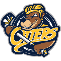 Former team badge icon