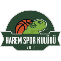 Former team badge icon