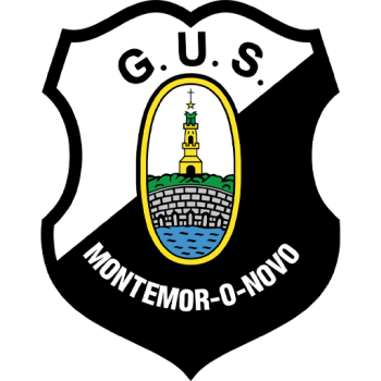 Team Badge
