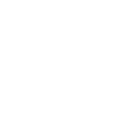 Former team badge icon