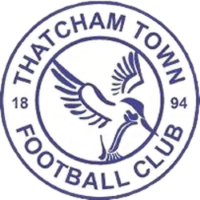 Former team badge icon