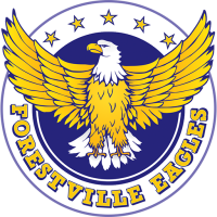 Former team badge icon
