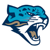 Former team badge icon