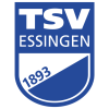 tiny home badge icon