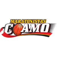 Former team badge icon