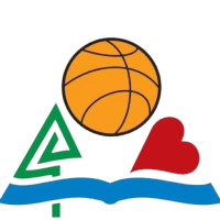 Former team badge icon