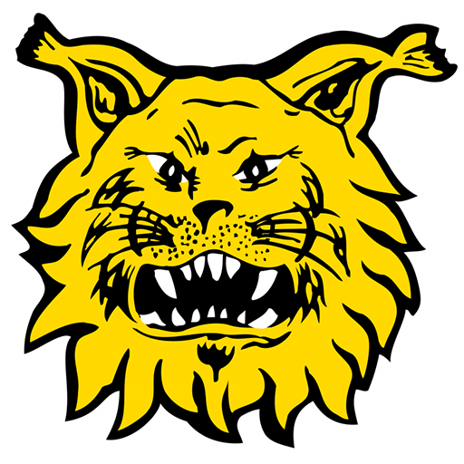 Tampereen Ilves