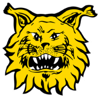 Former team badge icon