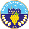 tiny away badge icon