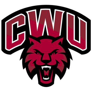 Team Badge