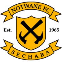 Team Badge