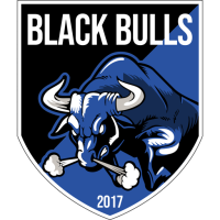 Team Badge