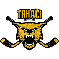 Former team badge icon